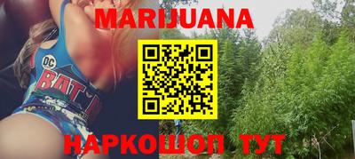 крисы Нальчик