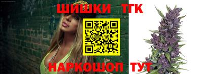 крисы Нальчик