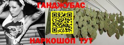 крисы Нальчик
