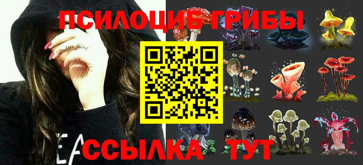 Нягань  Псилоцибиновые грибы Psilocybe  Вход с VPN 
