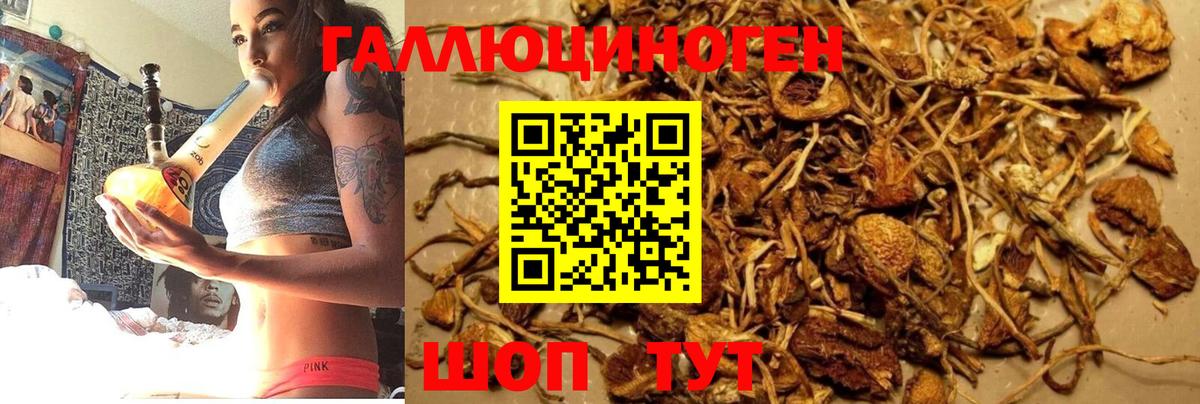 Псилоцибиновые грибы мухоморы Нягань